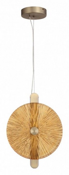 Подвесной светильник ST-Luce WASI SL6141.313.01 в Заводоуковске - zavodoukovsk.ok-mebel.com | фото 3