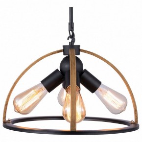 Подвесной светильник TopLight Jasmin TL1179H-04BK в Заводоуковске - zavodoukovsk.ok-mebel.com | фото
