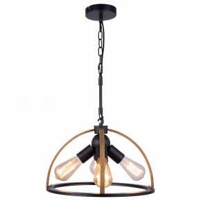 Подвесной светильник TopLight Jasmin TL1179H-04BK в Заводоуковске - zavodoukovsk.ok-mebel.com | фото 2