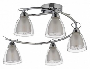 Потолочная люстра Arti Lampadari Paola, Tavenna Nickel Paola E 1.1.5 N в Заводоуковске - zavodoukovsk.ok-mebel.com | фото
