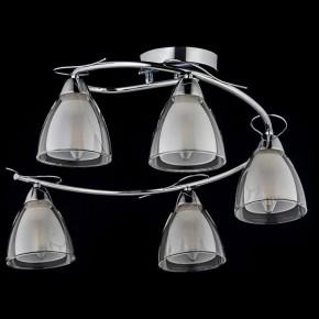 Потолочная люстра Arti Lampadari Paola, Tavenna Nickel Paola E 1.1.5 N в Заводоуковске - zavodoukovsk.ok-mebel.com | фото 2