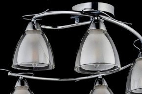 Потолочная люстра Arti Lampadari Paola, Tavenna Nickel Paola E 1.1.5 N в Заводоуковске - zavodoukovsk.ok-mebel.com | фото 4