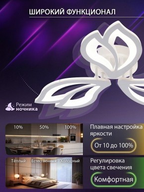 Потолочная люстра Natali Kovaltseva FORTUNA LED LAMPS 81107/2C в Заводоуковске - zavodoukovsk.ok-mebel.com | фото 5