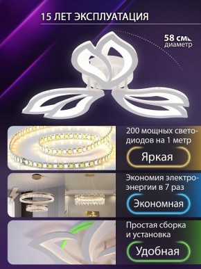 Потолочная люстра Natali Kovaltseva FORTUNA LED LAMPS 81107/2C в Заводоуковске - zavodoukovsk.ok-mebel.com | фото 6