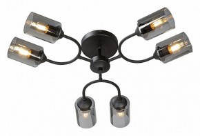Потолочная люстра Vitaluce V2823 V2823-1/6PL в Заводоуковске - zavodoukovsk.ok-mebel.com | фото 2
