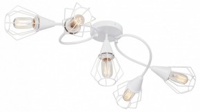 Потолочная люстра Vitaluce V3037 V3037-0/5PL в Заводоуковске - zavodoukovsk.ok-mebel.com | фото