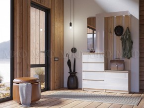 ЧЕЛСИ Прихожая в Заводоуковске - zavodoukovsk.ok-mebel.com | фото 3