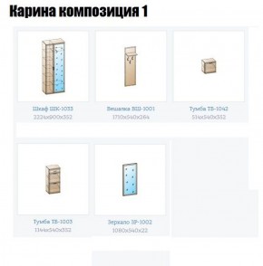 Прихожая Карина (модульная) в Заводоуковске - zavodoukovsk.ok-mebel.com | фото 4