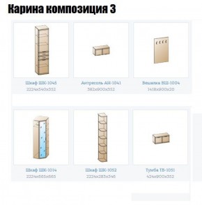 Прихожая Карина (модульная) в Заводоуковске - zavodoukovsk.ok-mebel.com | фото 8
