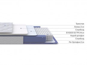 PROxSON Матрас Active Duo S/F (Ткань Трикотаж Эко) 160x195 в Заводоуковске - zavodoukovsk.ok-mebel.com | фото