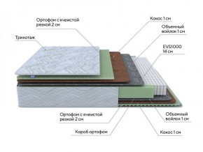 PROxSON Матрас Green M (Tricotage Dream) 120x190 в Заводоуковске - zavodoukovsk.ok-mebel.com | фото 8