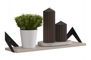 РИЧ Полка навесная в Заводоуковске - zavodoukovsk.ok-mebel.com | фото 3