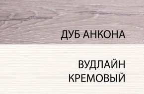 Шкаф 1DW, OLIVIA, цвет вудлайн крем/дуб анкона в Заводоуковске - zavodoukovsk.ok-mebel.com | фото 3