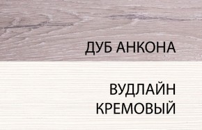 Шкаф 1DZ, OLIVIA, цвет вудлайн крем/дуб анкона в Заводоуковске - zavodoukovsk.ok-mebel.com | фото 3