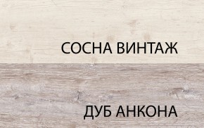 Шкаф 2D1S, MONAKO, цвет Сосна винтаж/дуб анкона в Заводоуковске - zavodoukovsk.ok-mebel.com | фото