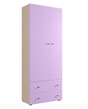 Шкаф ДМ 800 с 2-мя ящиками (венге) в Заводоуковске - zavodoukovsk.ok-mebel.com | фото 5