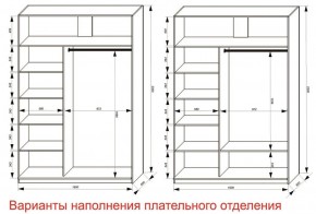 Шкаф-купе 1600 серии SOFT D6+D4+B2+PL2 (2 ящика+1штанга+1 полка) профиль «Капучино» в Заводоуковске - zavodoukovsk.ok-mebel.com | фото 8