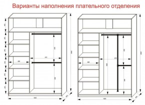 Шкаф-купе 1600 серии SOFT D6+D6+B2+PL3 (2 ящика+2штанги) профиль «Капучино» в Заводоуковске - zavodoukovsk.ok-mebel.com | фото 7