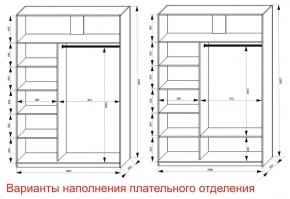 Шкаф-купе 1600 серии SOFT D6+D6+B2+PL3 (2 ящика+2штанги) профиль «Капучино» в Заводоуковске - zavodoukovsk.ok-mebel.com | фото 8