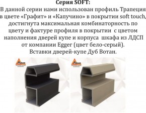 Шкаф-купе 1800 серии SOFT D1+D3+B2+PL1 (2 ящика+1штанга) профиль «Графит» в Заводоуковске - zavodoukovsk.ok-mebel.com | фото 11