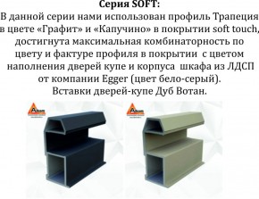 Шкаф-купе 1800 серии SOFT D6+D6+B2+PL3 (2 ящика+2штанги) профиль «Капучино» в Заводоуковске - zavodoukovsk.ok-mebel.com | фото 12