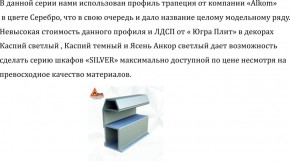 Шкаф-купе 2250 серии SILVER S4+S1+S4 B22+PL4 (по 2 ящика лев/прав+F обр.штанга) профиль «Серебро» в Заводоуковске - zavodoukovsk.ok-mebel.com | фото 4