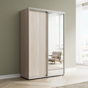 Шкаф-купе Акцент-Сим ДЗ 1000-600 в Заводоуковске - zavodoukovsk.ok-mebel.com | фото 6