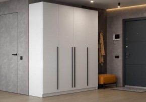 Шкаф платяной Бирма в Заводоуковске - zavodoukovsk.ok-mebel.com | фото 4