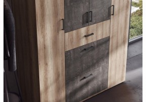 Шкаф платяной Паркинс в Заводоуковске - zavodoukovsk.ok-mebel.com | фото 3