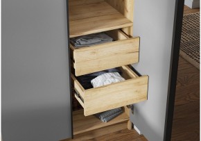 Шкаф платяной Широн в Заводоуковске - zavodoukovsk.ok-mebel.com | фото 3
