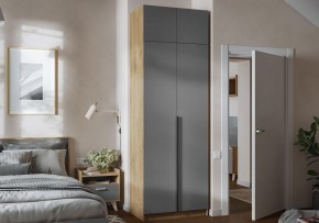 Шкаф платяной Широн в Заводоуковске - zavodoukovsk.ok-mebel.com | фото 4