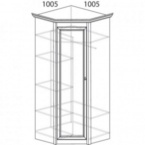 Шкаф угловой №662 "Флоренция" Фасад глухой (угол 1005*1005) Дуб оксфорд в Заводоуковске - zavodoukovsk.ok-mebel.com | фото 3