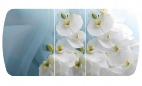 Стол Бостон-3 (Белая Орхидея) 1100/1420*700, опора Брифинг в Заводоуковске - zavodoukovsk.ok-mebel.com | фото 2