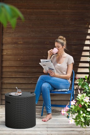 Столик-холодильник Кул-Стул (Cool stool) графит в Заводоуковске - zavodoukovsk.ok-mebel.com | фото