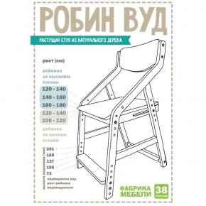 Стул растущий «Робин Wood» с чехлом 38 Попугаев (Выбеленное дерево, Салют) в Заводоуковске - zavodoukovsk.ok-mebel.com | фото 3