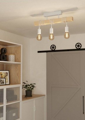 Светильник на штанге Eglo TOWNSHEND 44082 в Заводоуковске - zavodoukovsk.ok-mebel.com | фото 2