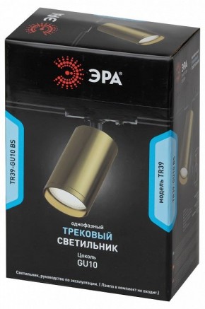 Светильник на штанге Эра  TR39-GU10 BS в Заводоуковске - zavodoukovsk.ok-mebel.com | фото 4
