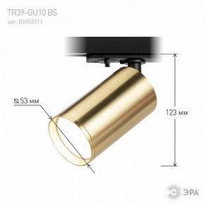Светильник на штанге Эра  TR39-GU10 BS в Заводоуковске - zavodoukovsk.ok-mebel.com | фото 6