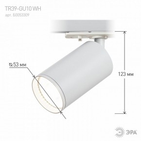 Светильник на штанге Эра  TR39-GU10 WH в Заводоуковске - zavodoukovsk.ok-mebel.com | фото 7