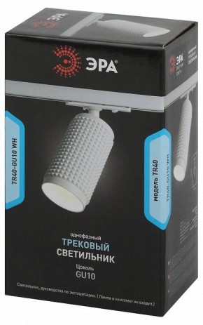 Светильник на штанге Эра  TR40-GU10 WH в Заводоуковске - zavodoukovsk.ok-mebel.com | фото 7