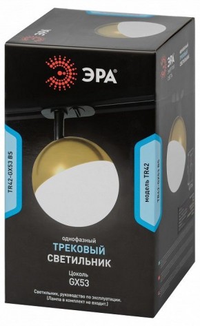 Светильник на штанге Эра  TR42-GX53 BS в Заводоуковске - zavodoukovsk.ok-mebel.com | фото 6