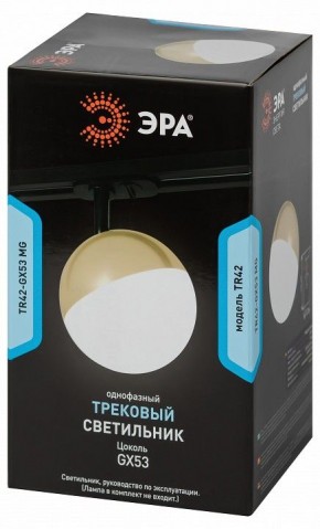 Светильник на штанге Эра  TR42-GX53 MG в Заводоуковске - zavodoukovsk.ok-mebel.com | фото 6