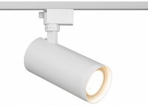Светильник на штанге Эра  TR59 - 3030 WH в Заводоуковске - zavodoukovsk.ok-mebel.com | фото