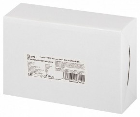 Светильник на штанге Эра  TRM-S5-3-12W4K-BK в Заводоуковске - zavodoukovsk.ok-mebel.com | фото 8