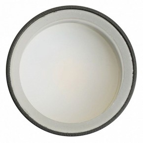 Светильник на штанге Feron ML1001 51371 в Заводоуковске - zavodoukovsk.ok-mebel.com | фото 4