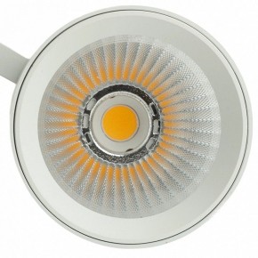 Светильник на штанге Feron TR Reflex 52058 в Заводоуковске - zavodoukovsk.ok-mebel.com | фото 12