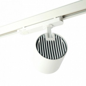 Светильник на штанге Feron TR Reflex 52058 в Заводоуковске - zavodoukovsk.ok-mebel.com | фото 3