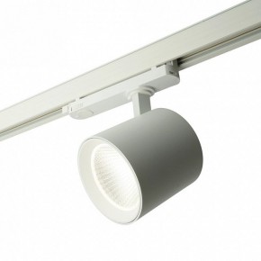Светильник на штанге Feron TR Reflex 52058 в Заводоуковске - zavodoukovsk.ok-mebel.com | фото 7