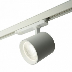 Светильник на штанге Feron TR Reflex 52058 в Заводоуковске - zavodoukovsk.ok-mebel.com | фото 9