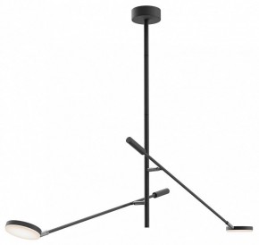 Светильник на штанге Maytoni Fad MOD070CL-L15B3K1 в Заводоуковске - zavodoukovsk.ok-mebel.com | фото